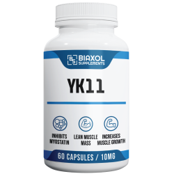 YK11 YK11